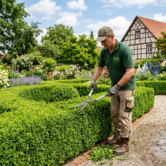 Website für Gartenbau & Landschaftspflege 1 Ein Gärtner schneidet in einer gepflegten Gartenanlage eine Buchsbaumhecke. Umgeben von blühenden Beeten, Kieswegen, Rosen, Lavendel und einem Fachwerkhaus entsteht der Eindruck professioneller Landschaftspflege. Das Bild passt zu Gartenbau, Heckenschnitt, Gartenpflege, Beetpflege und hochwertiger Gartengestaltung.